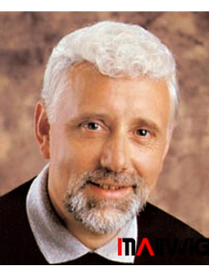 Short Curly Men's Wigs Toupees 